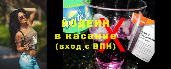 крисы Анива