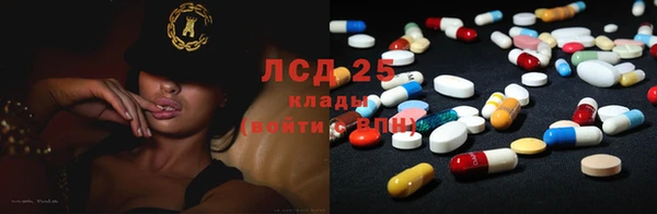 прущие грибы Абаза