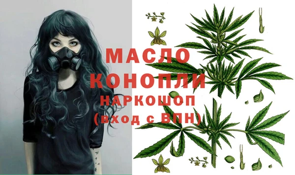прущие грибы Абаза