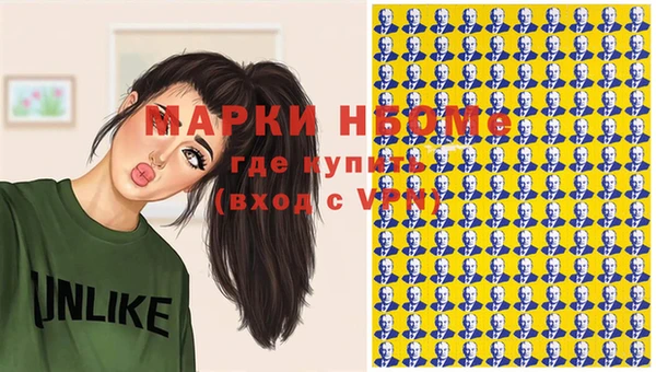 прущие грибы Абаза